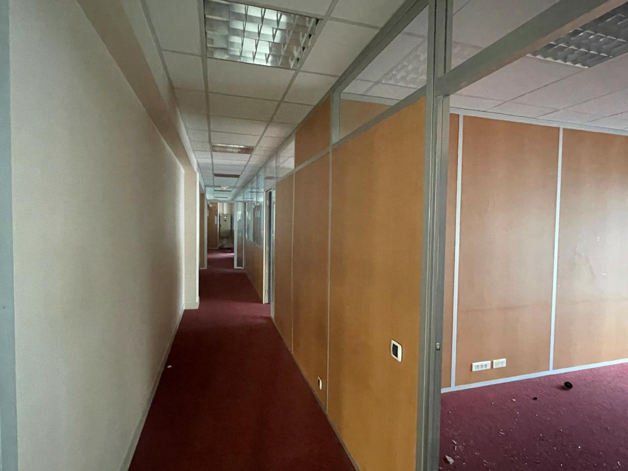 Local d'activité Ivry-sur-Seine 1799m² Location local d'activité Ivry-sur-Seine Val-de-Marne OLACT2206899 18